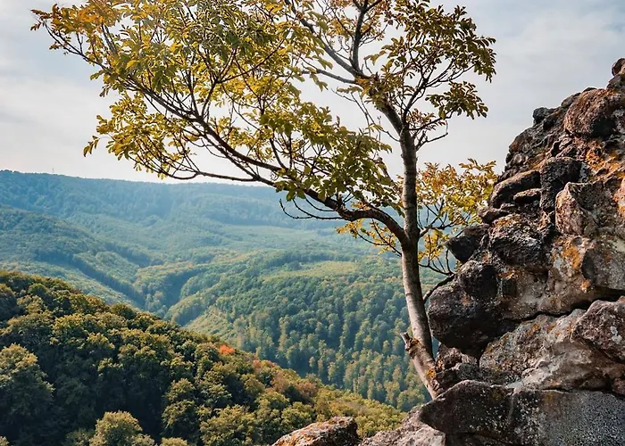 Apartman Dunatwinhouse Dömös