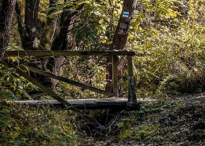 Apartman Dunatwinhouse